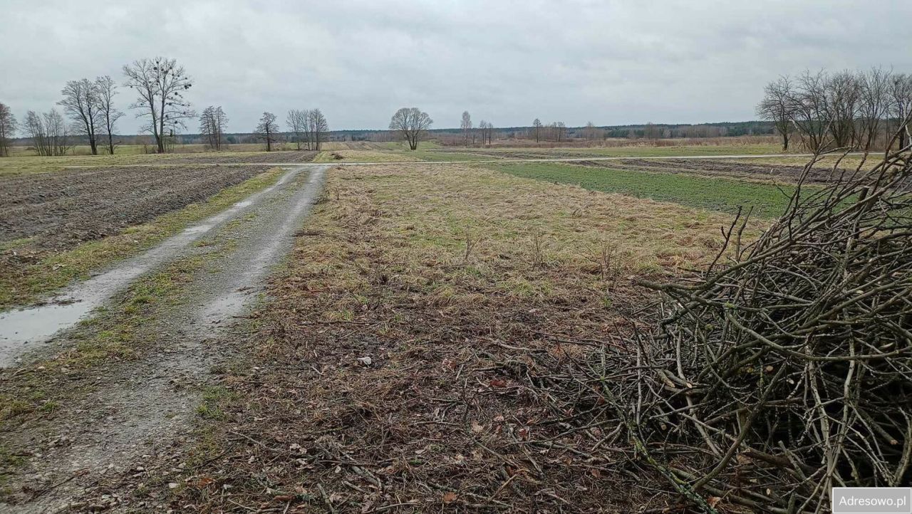 Działka budowlana Aleksandrów Aleksandrów Trzeci. Zdjęcie 1