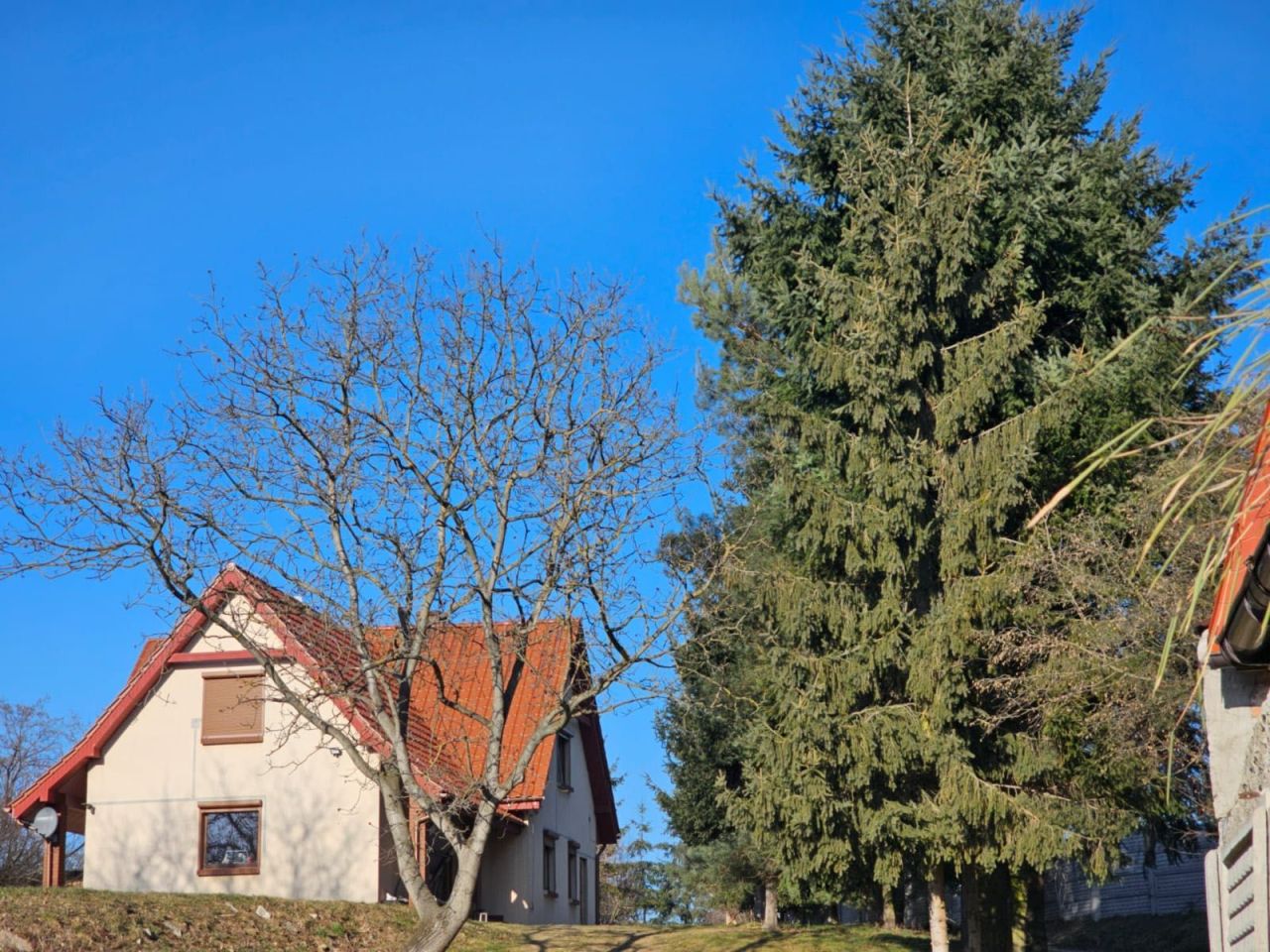 dom wolnostojący, 5 pokoi Sieniawka. Zdjęcie 2