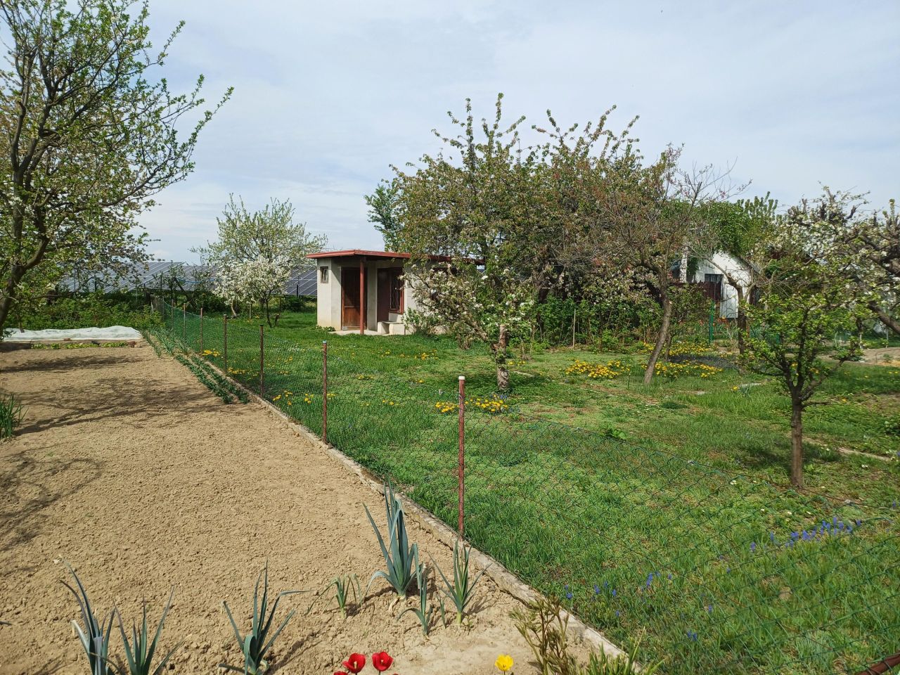 Działka rod Jawor, ul. Juliusza Słowackiego. Zdjęcie 4