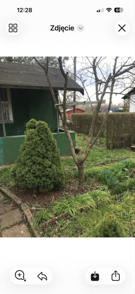 Działka rod Wrocław Sołtysowice. Zdjęcie 3