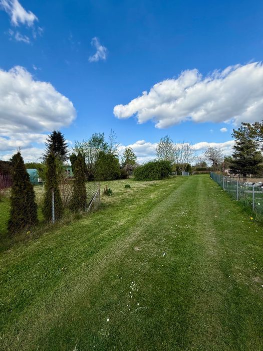 Działka rod Tarnów. Zdjęcie 1