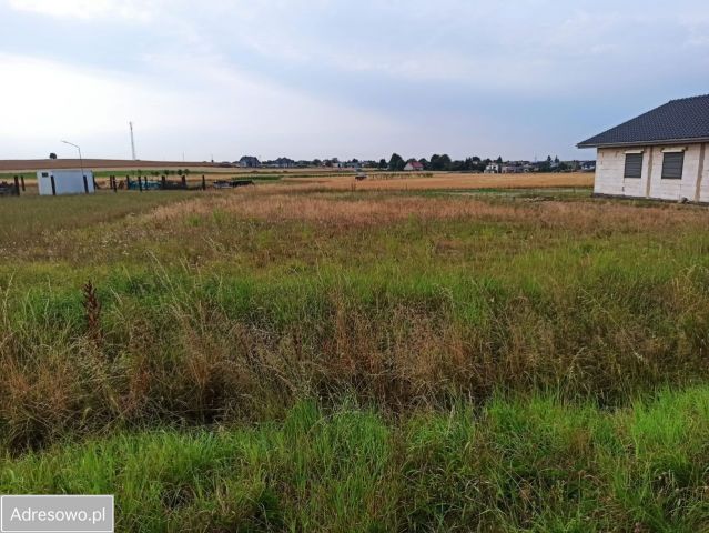 Działka budowlana Sadów, ul. Leśna. Zdjęcie 1