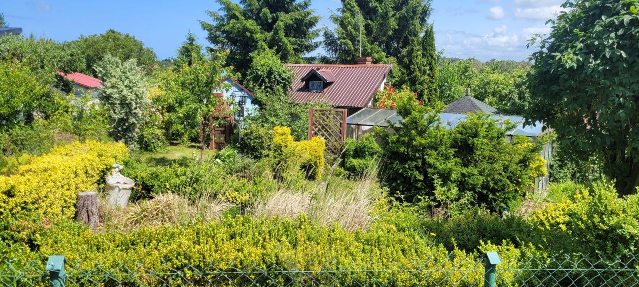 Działka rod Kołobrzeg, ul. Janiska. Zdjęcie 5