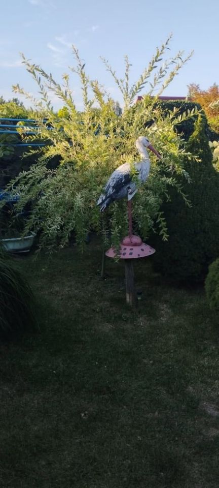 Działka rod Zduńska Wola, ul. Klonowa. Zdjęcie 3