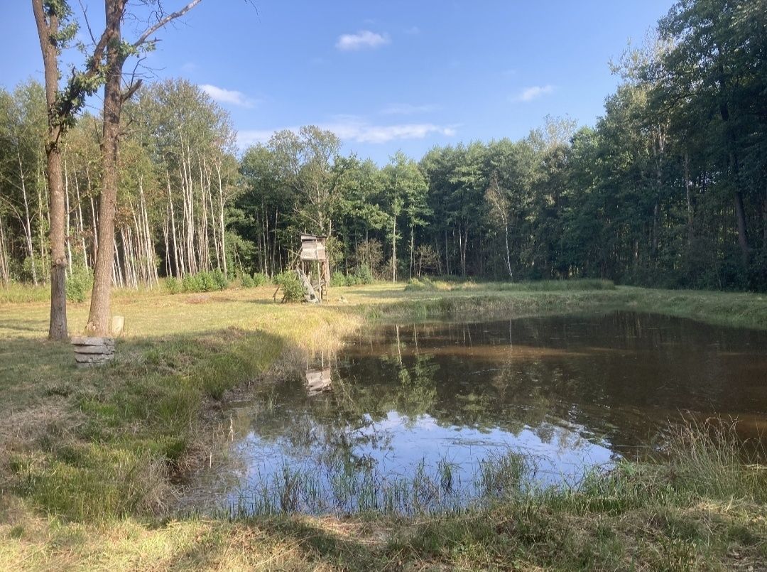 Działka rekreacyjna Irena. Zdjęcie 6