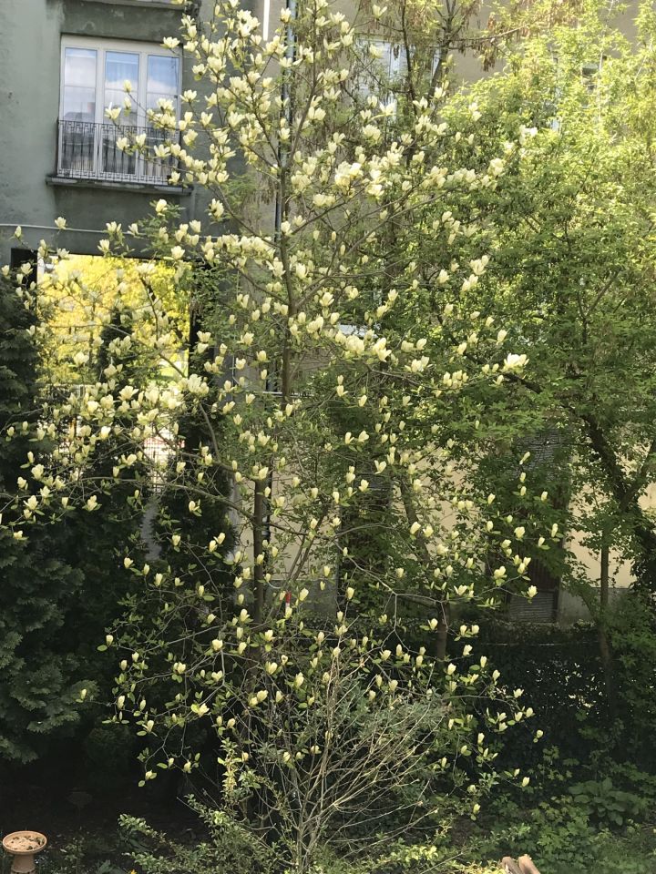 Mieszkanie 3-pokojowe Warszawa Bielany, ul. Barcicka. Zdjęcie 12