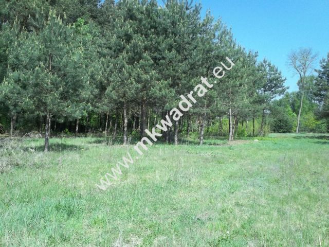Działka budowlana Stara Wieś. Zdjęcie 3
