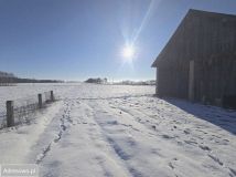 dom wolnostojący, 3 pokoje Krzywa. Zdjęcie 3