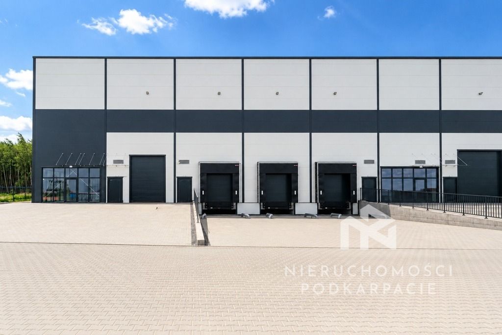 Hala/magazyn Rzeszów Dworzysko, ul. Biznesowa. Zdjęcie 4