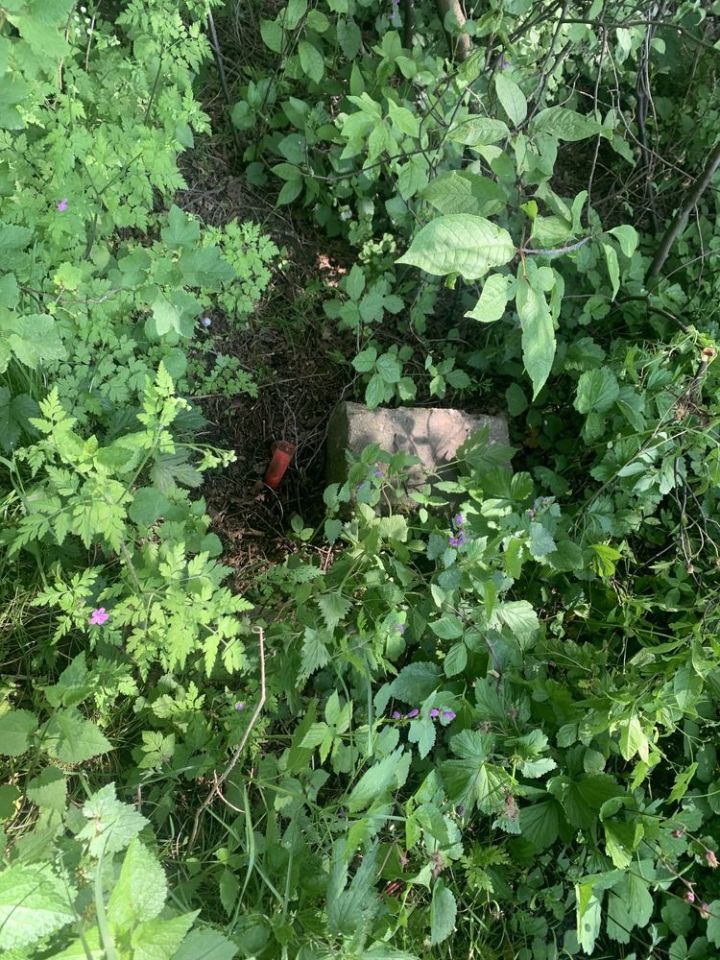 Działka budowlana Falęcice. Zdjęcie 7