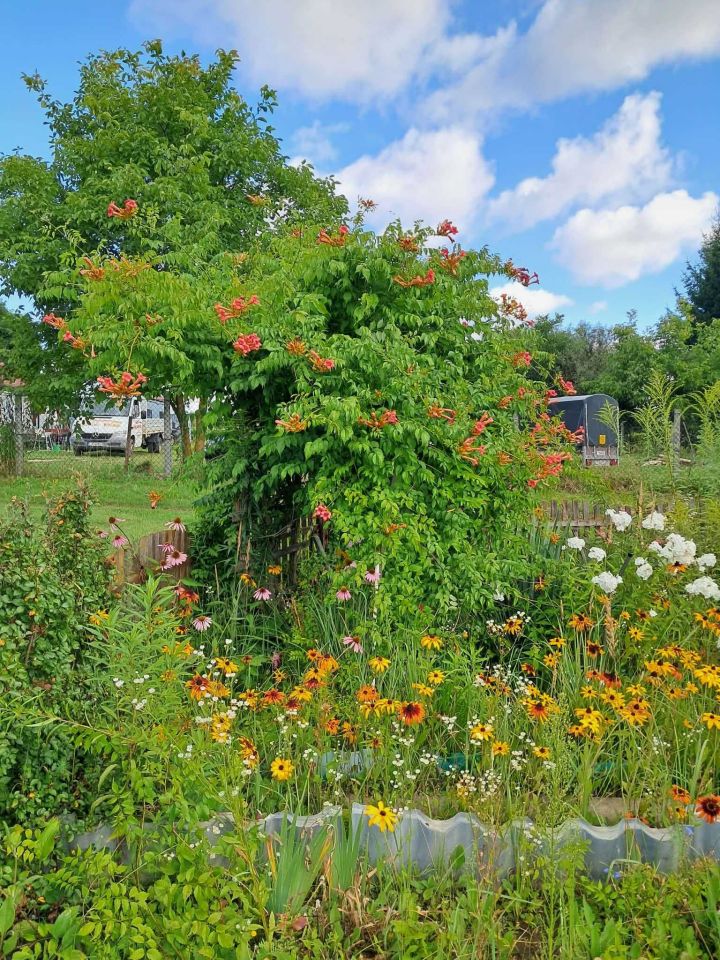 Działka rod Zamość, ul. Czesława Miłosza. Zdjęcie 6