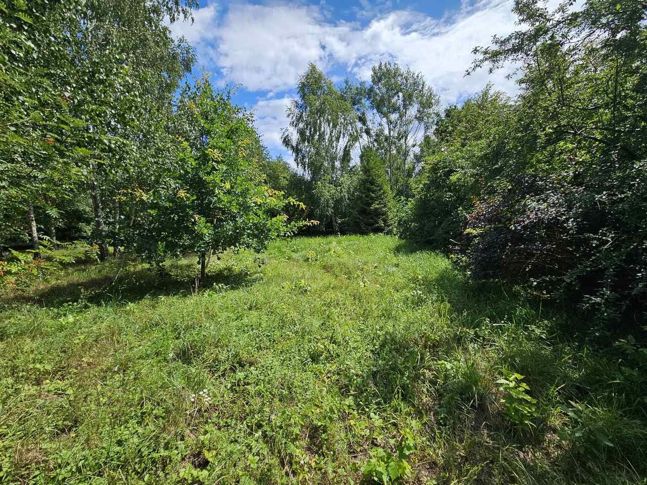 Działka rekreacyjna Urowo Murawki. Zdjęcie 8