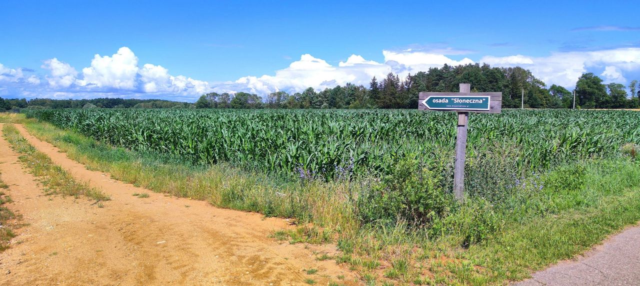 Działka rolno-budowlana Brodowo. Zdjęcie 4