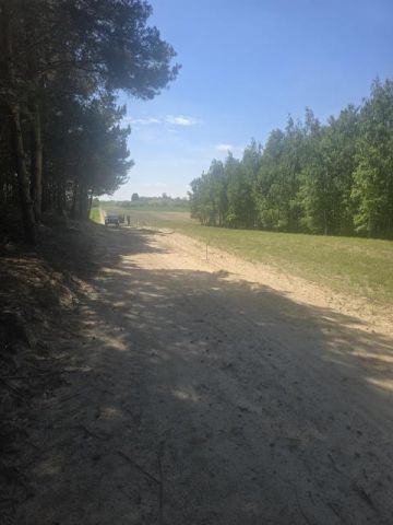 Działka leśna Drochówka. Zdjęcie 1