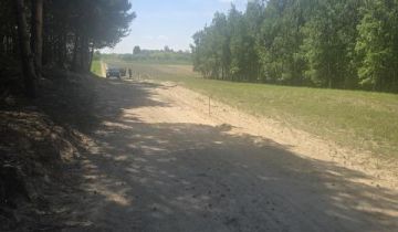Działka leśna Drochówka