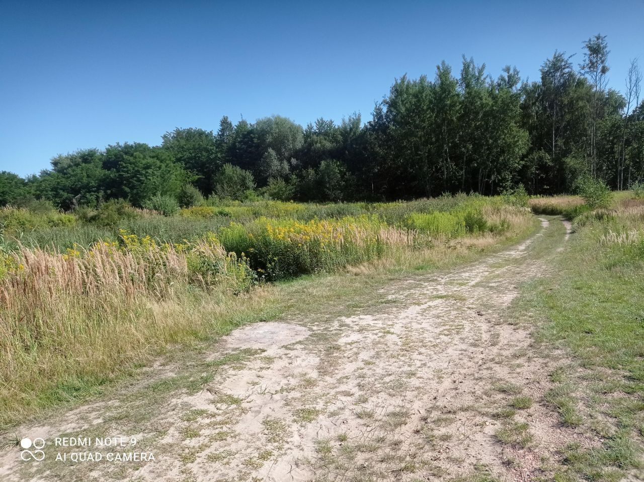 Działka rekreacyjna Ptakowice, ul. Wyzwolenia. Zdjęcie 9