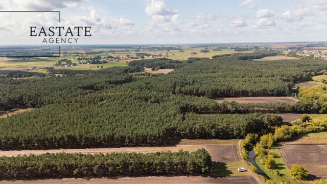 Działka leśna Maurzyce. Zdjęcie 5