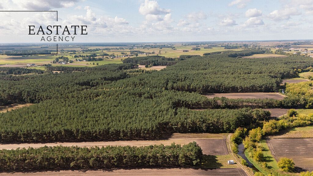 Działka leśna Maurzyce. Zdjęcie 5