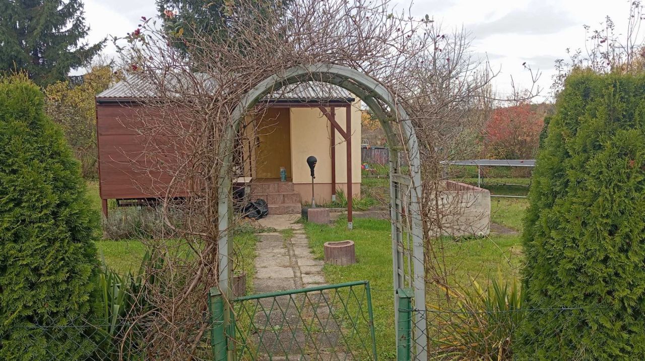 Działka rod Lubin. Zdjęcie 2