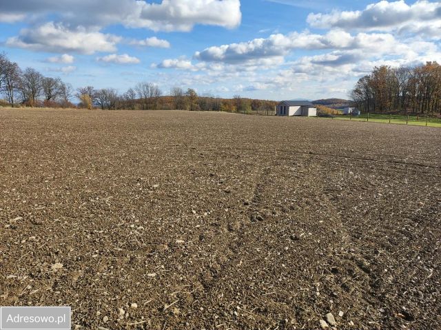Działka budowlana Myślinów. Zdjęcie 1