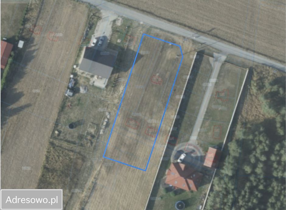 Działka rolno-budowlana Dąbrowa. Zdjęcie 8