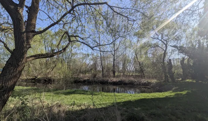 Działka siedliskowa Stary Lubiel