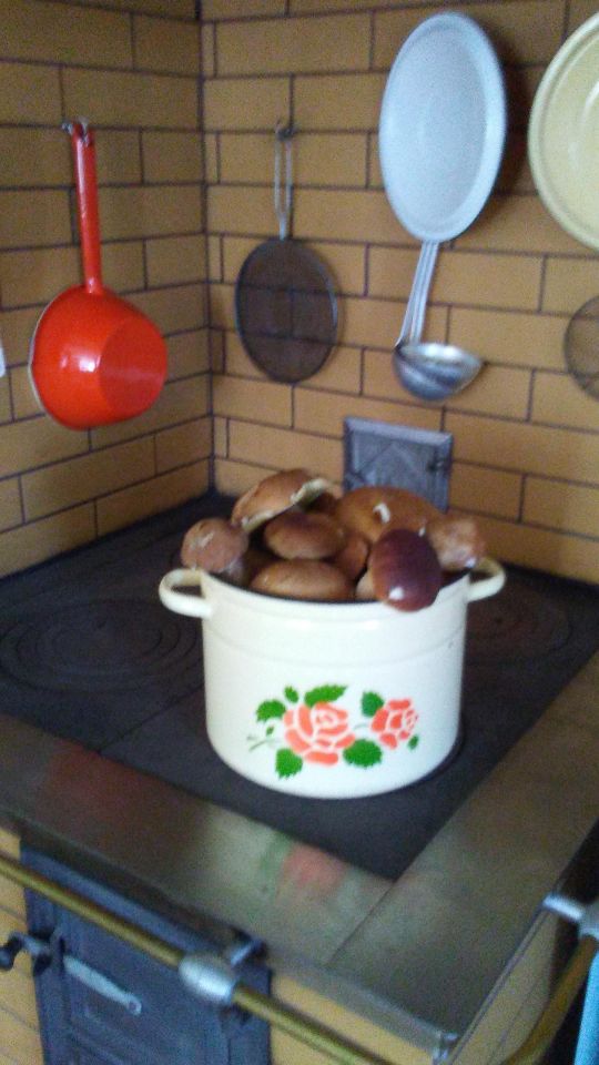 dom wolnostojący, 2 pokoje Sienno, ul. Słoneczna. Zdjęcie 6