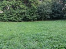 Działka rolno-budowlana Jasnopole. Zdjęcie 2