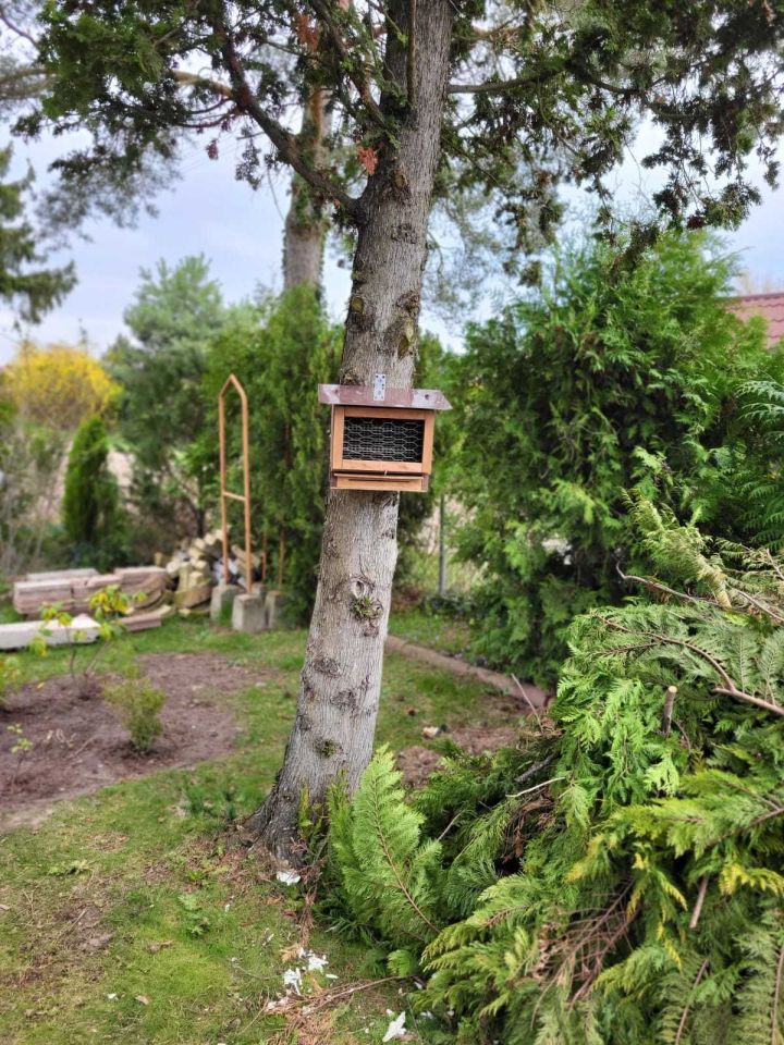 Działka rod Złotniki