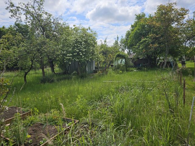 Działka rod Iwiny, ul. Polna. Zdjęcie 1