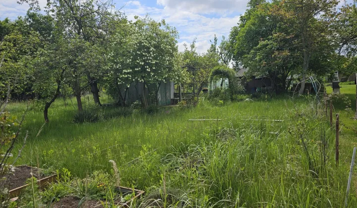 Działka rod Iwiny, ul. Polna