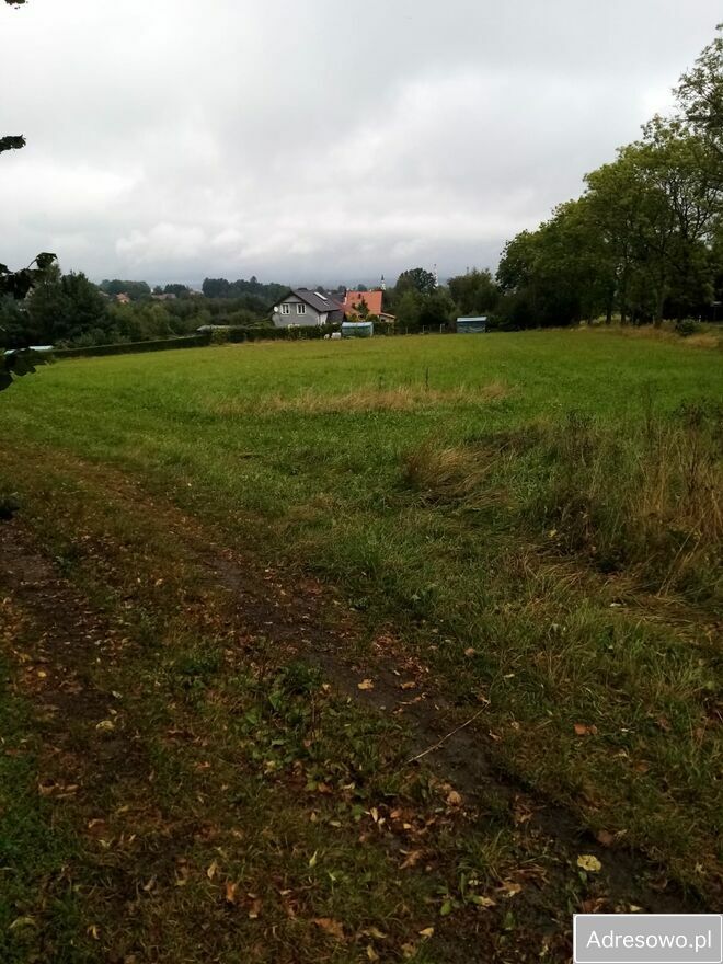 Działka rolna Wieża. Zdjęcie 2