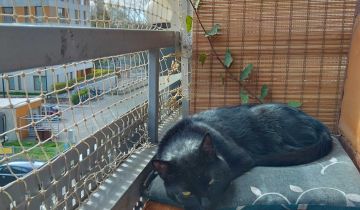 Mieszkanie 3-pokojowe Wrocław Stare Miasto