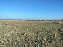 Działka budowlana Kamienica. Zdjęcie 4