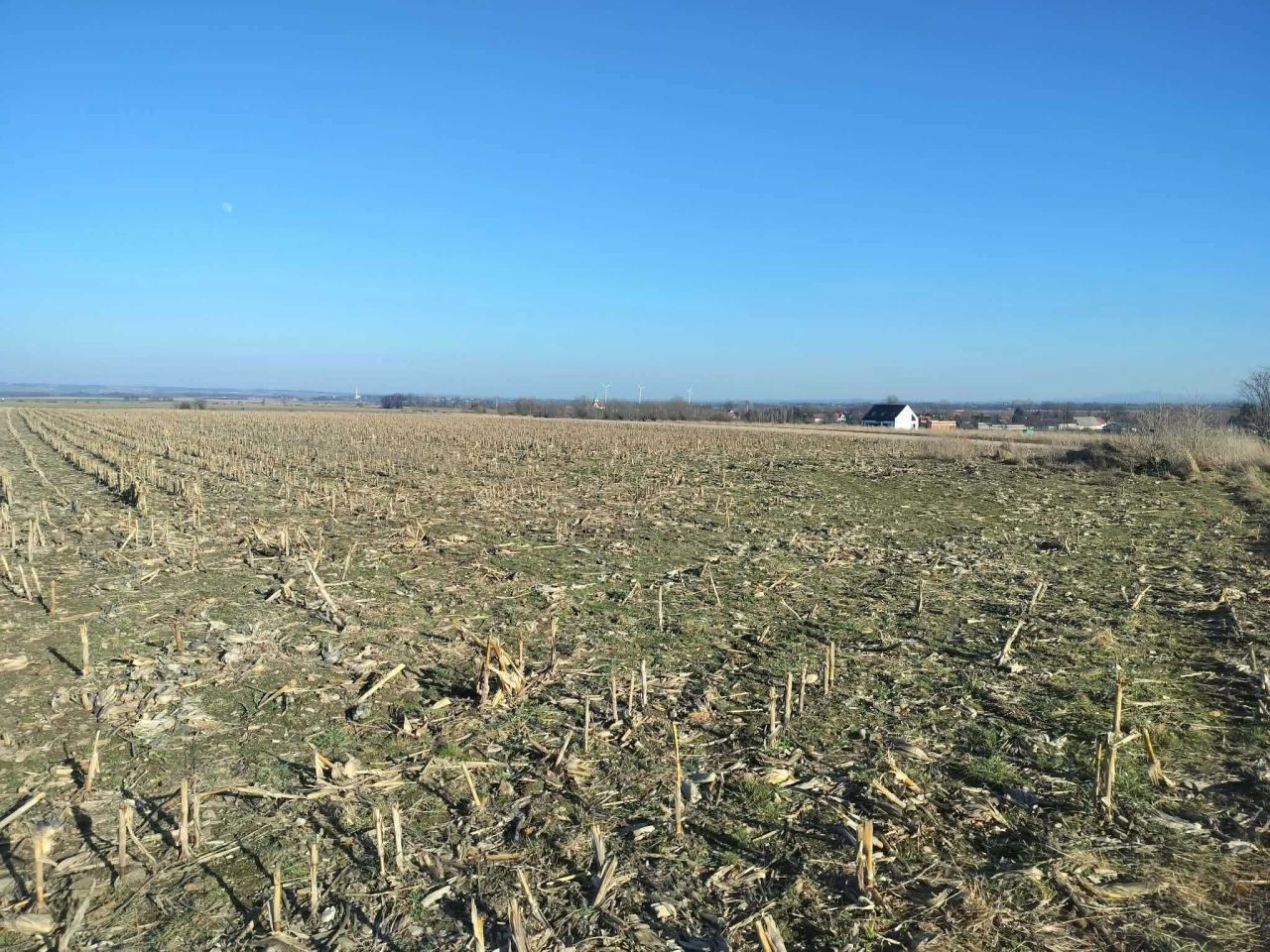 Działka budowlana Kamienica. Zdjęcie 5