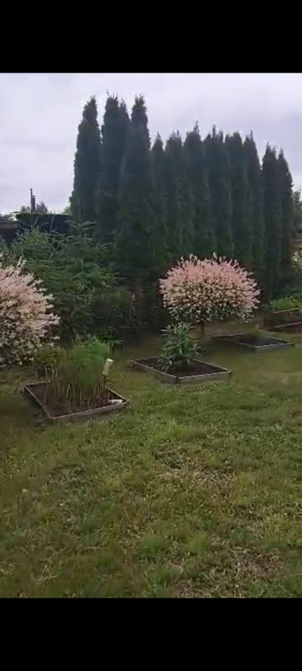 Działka rod Włocławek, ul. Jastrzębia. Zdjęcie 22
