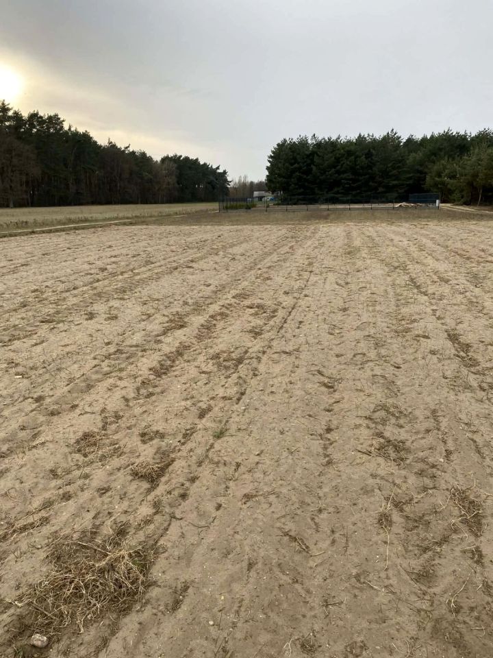 Działka budowlana Skrzynka. Zdjęcie 10