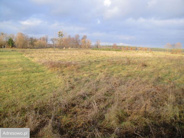 Działka rolna Gołkowice. Zdjęcie 1