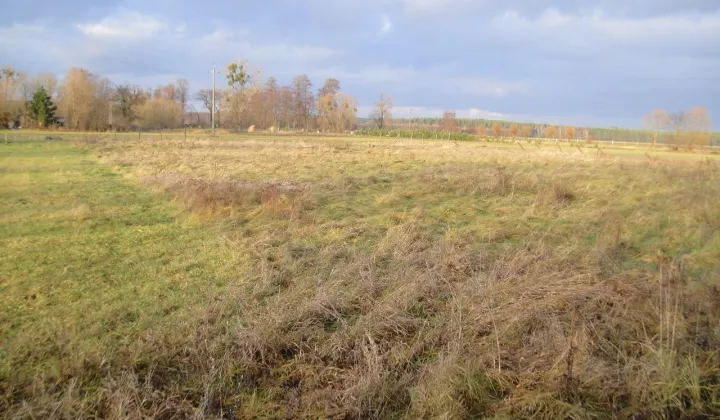 Działka rolna Gołkowice