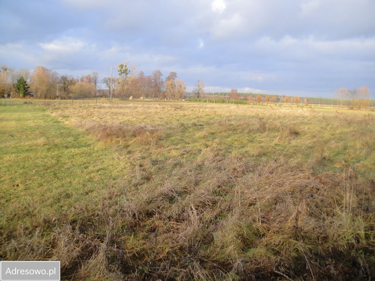 Działka rolna Gołkowice. Zdjęcie 1