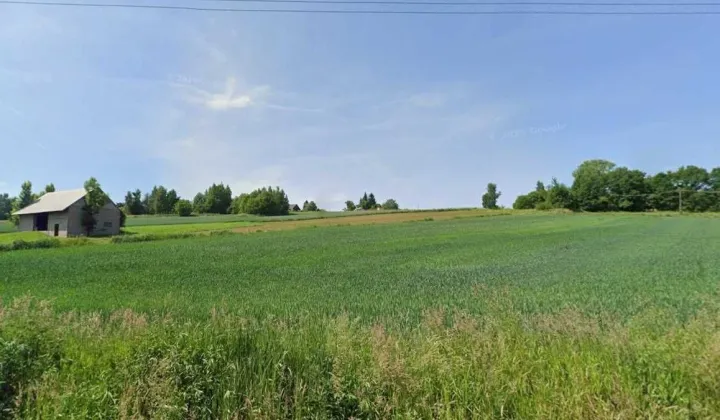 Działka rolno-budowlana Tłuczań, ul. Podlas