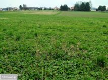 Działka rolna Chmielnik. Zdjęcie 4