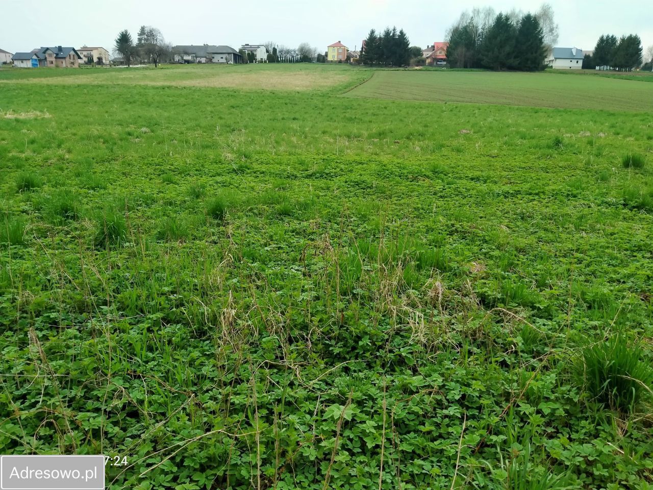 Działka rolna Chmielnik. Zdjęcie 5