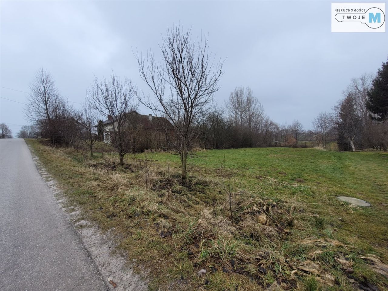 Działka rolna Sieradowice Drugie. Zdjęcie 5