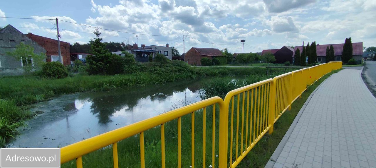 siedlisko, 4 pokoje Gola Górowska. Zdjęcie 14