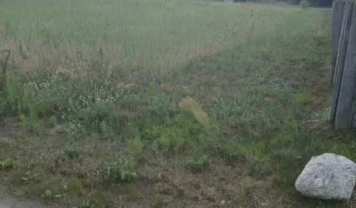 Działka budowlana Sierniki