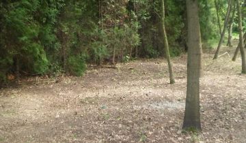 Działka budowlana Jachranka, ul. Wspólna