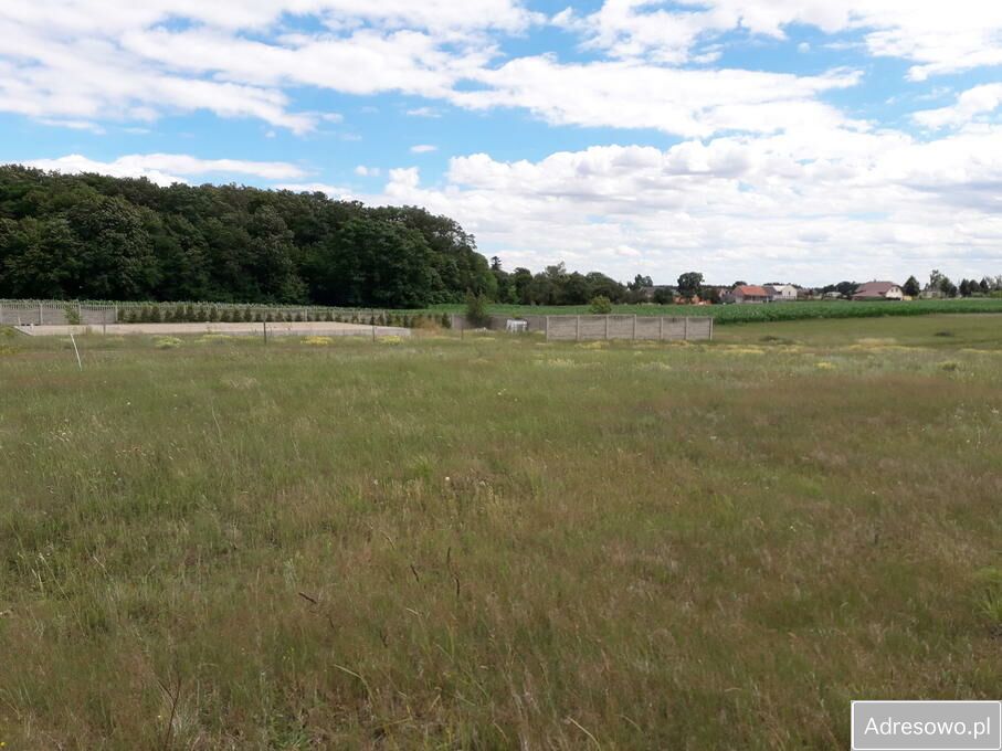 Działka budowlana Żakowo. Zdjęcie 5