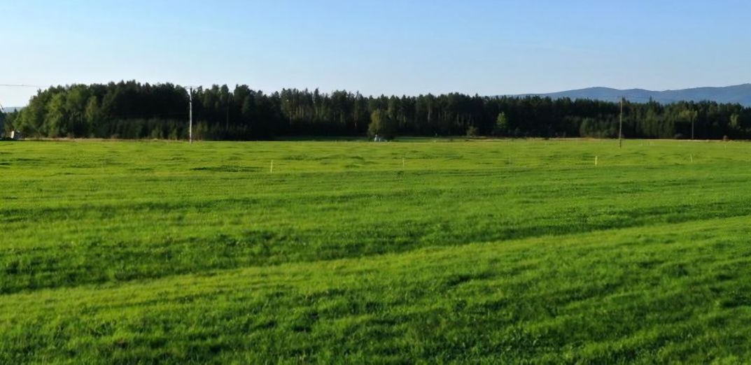 Działka budowlana Bór, ul. Leśna. Zdjęcie 2