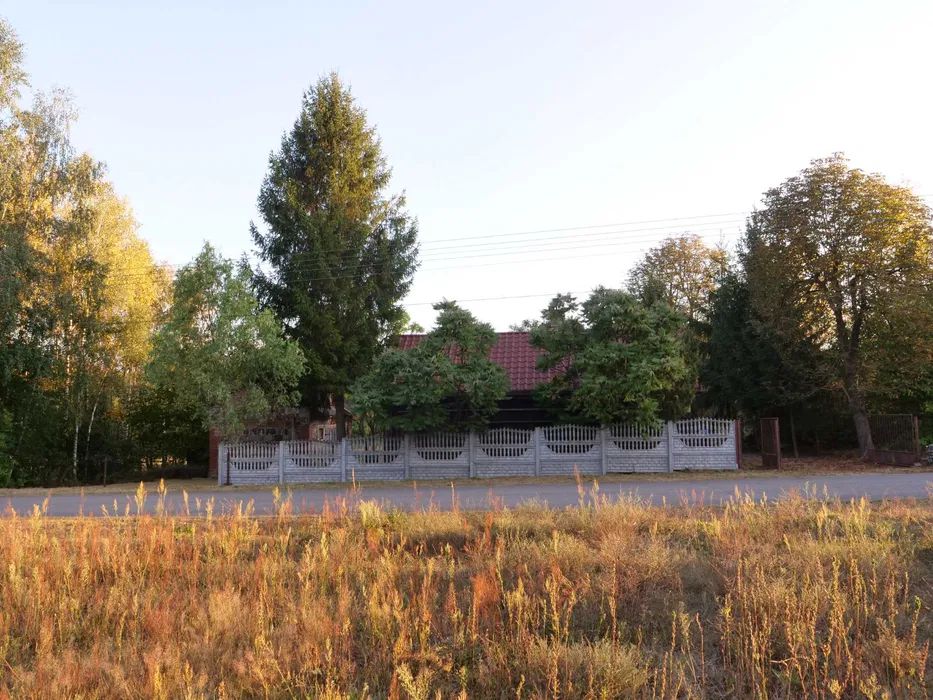 siedlisko Wolica. Zdjęcie 6